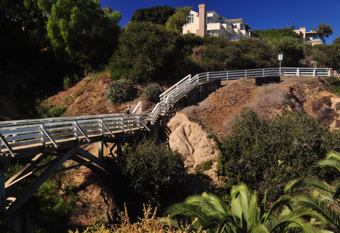 wooden bridge along the coastal walk